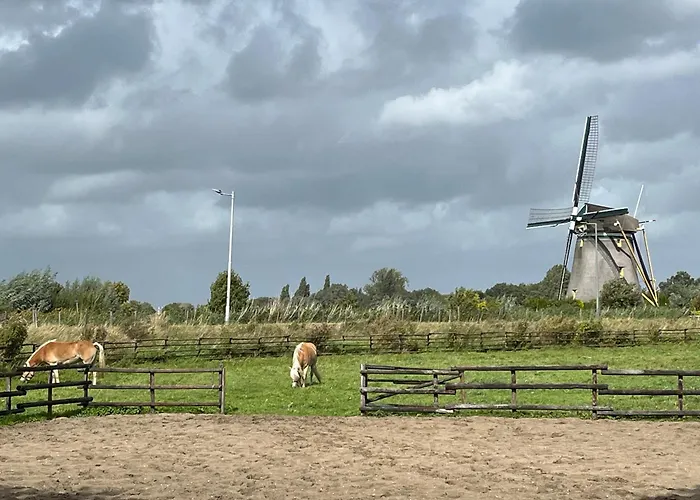 Privé villa: Chalet aan de Rotte